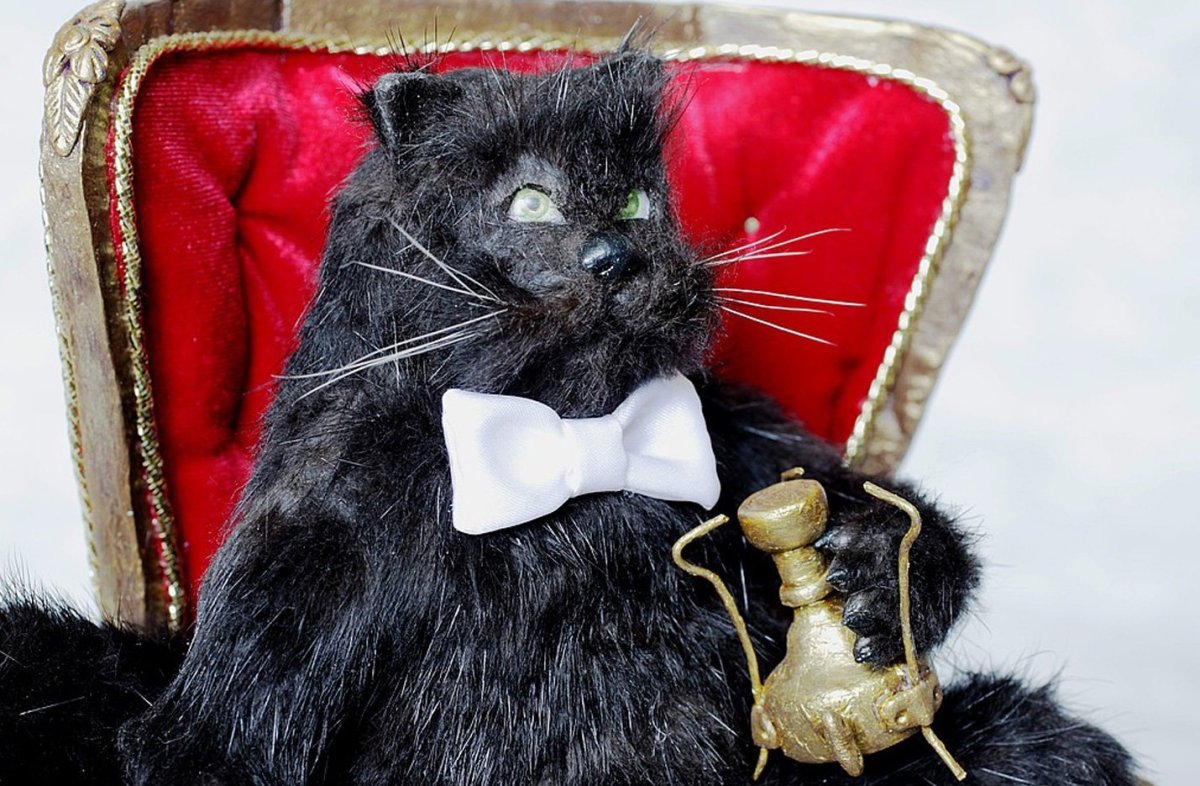 Кот Бегемот