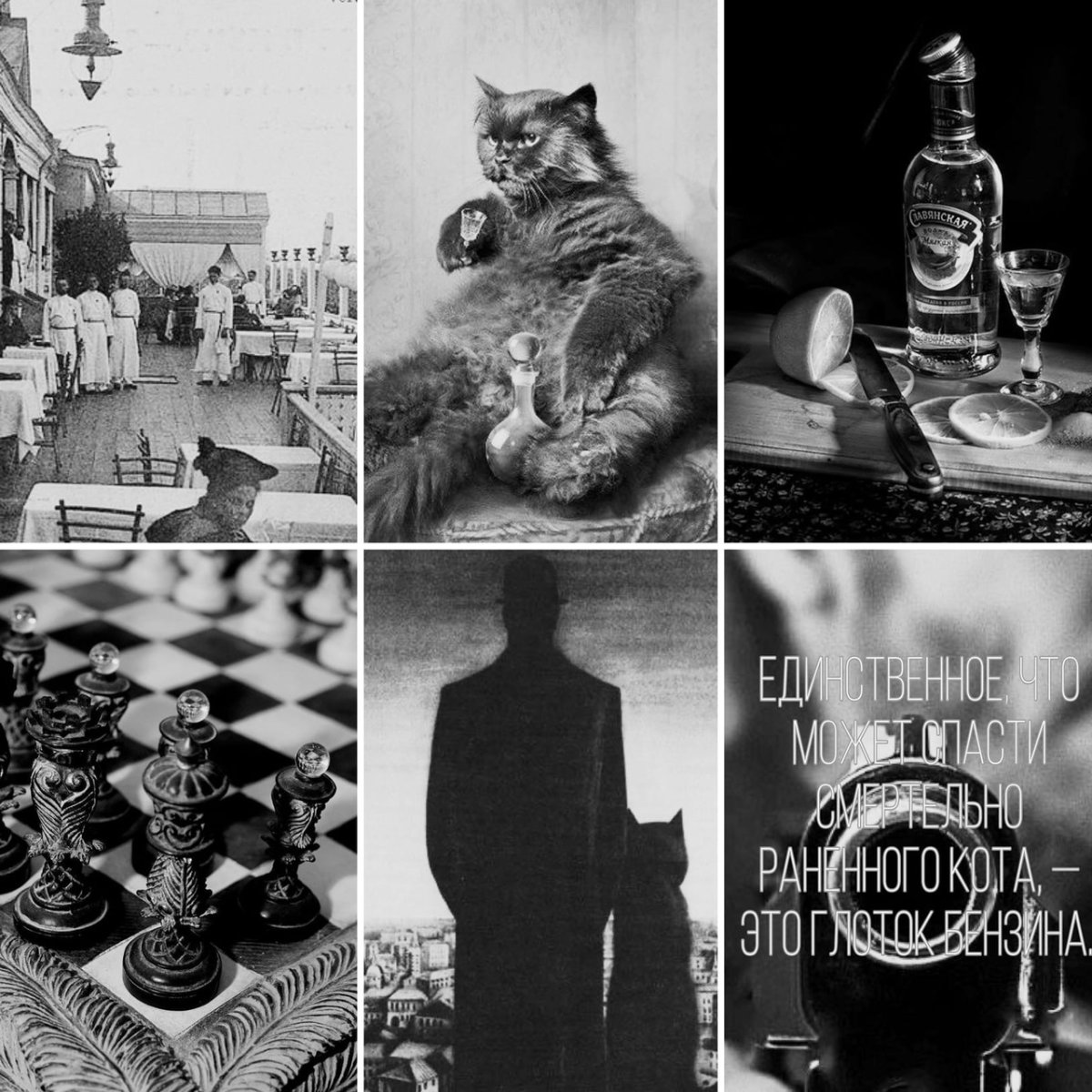 Кот Бегемот Эстетика