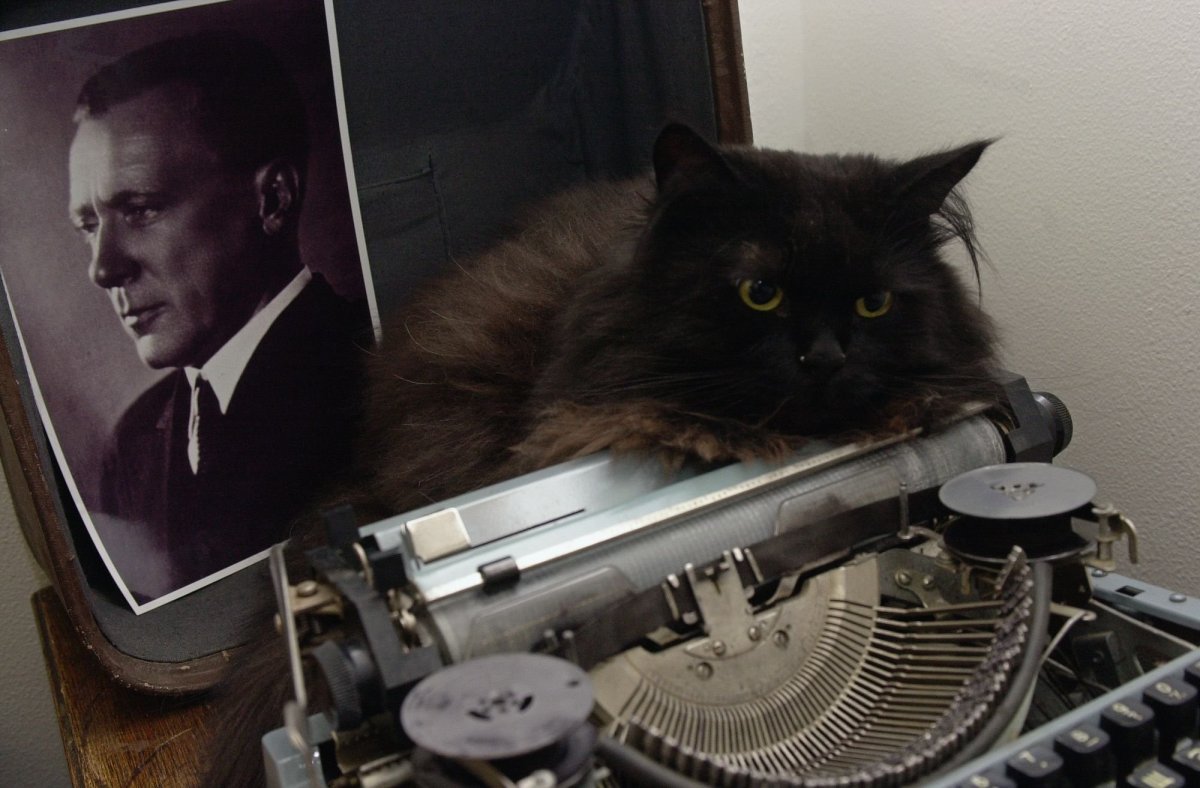 Кот Бегемот купить