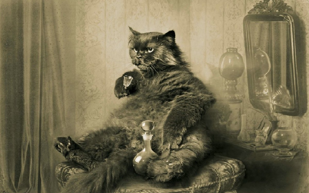 Кот Бегемот из мастера и Маргариты фото