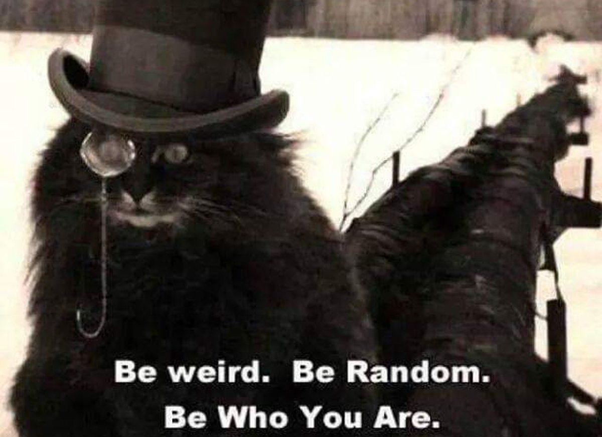 Кот Бегемот из мастера и Маргариты