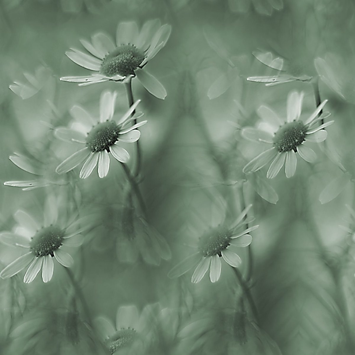 Красивый серый фон