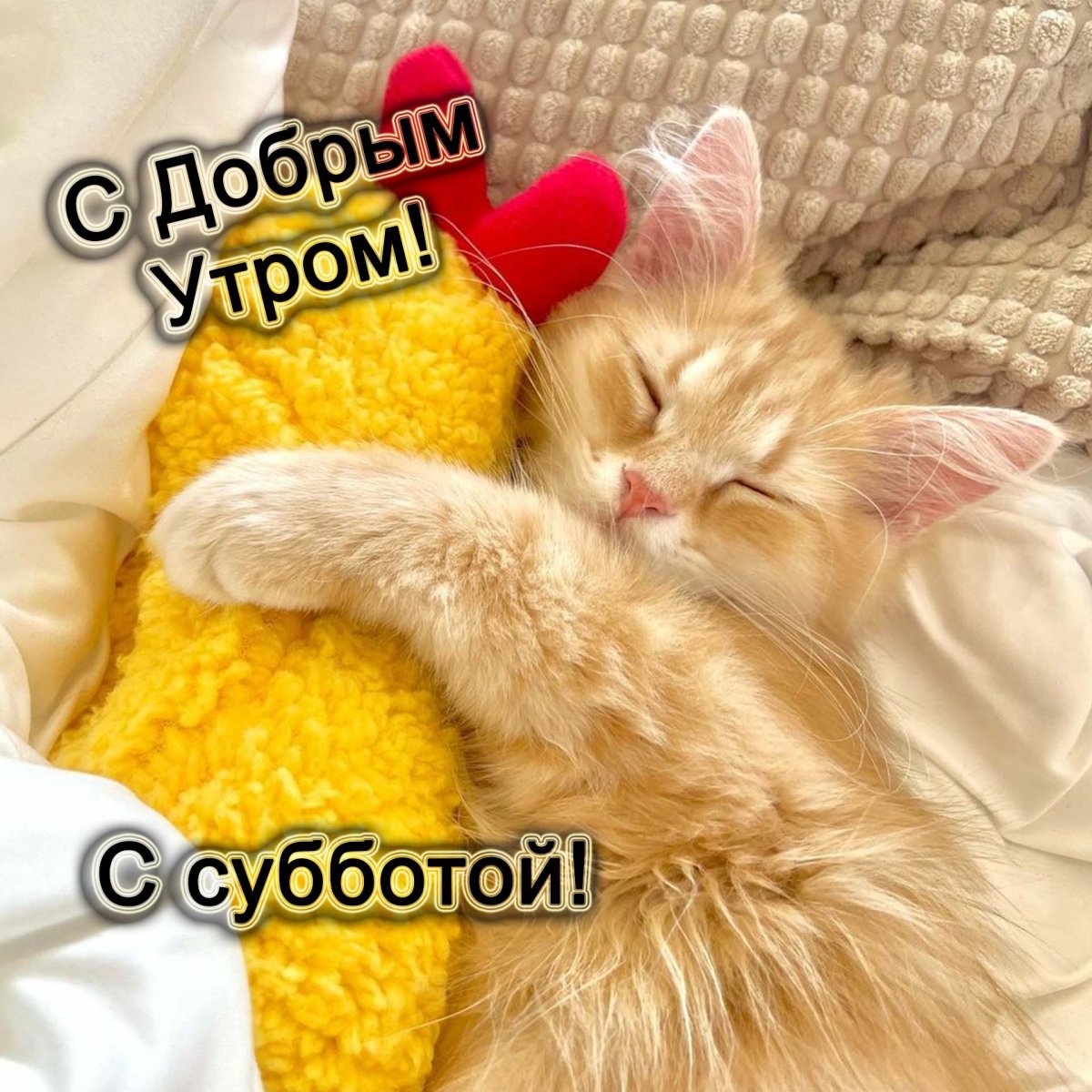 Доброе субботнее утро