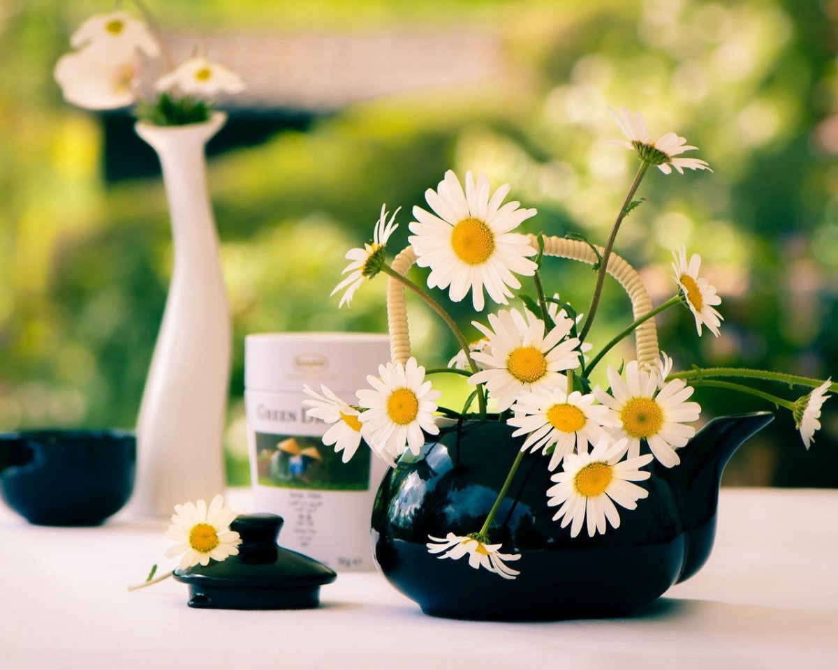 Кофе и ромашки фото