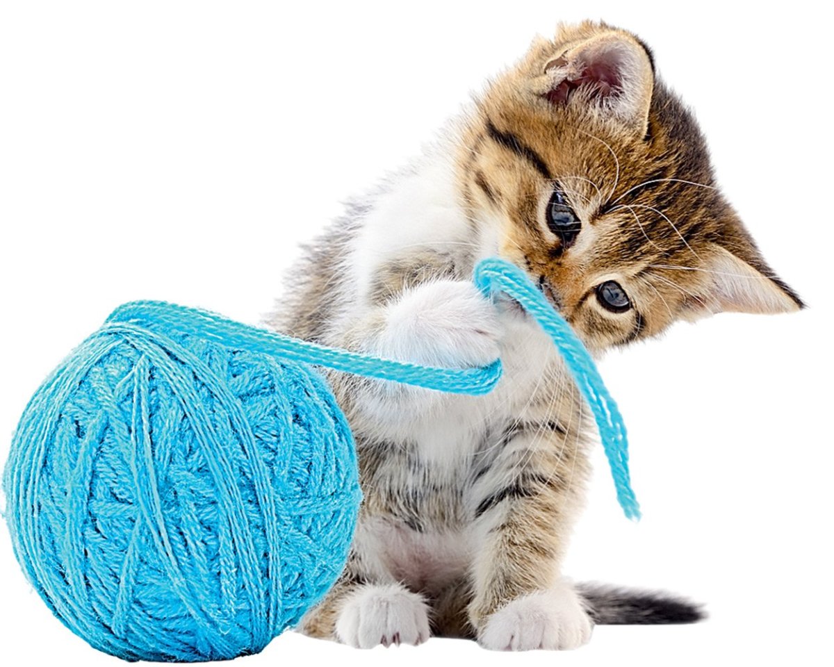 Шарик клубок с котенком