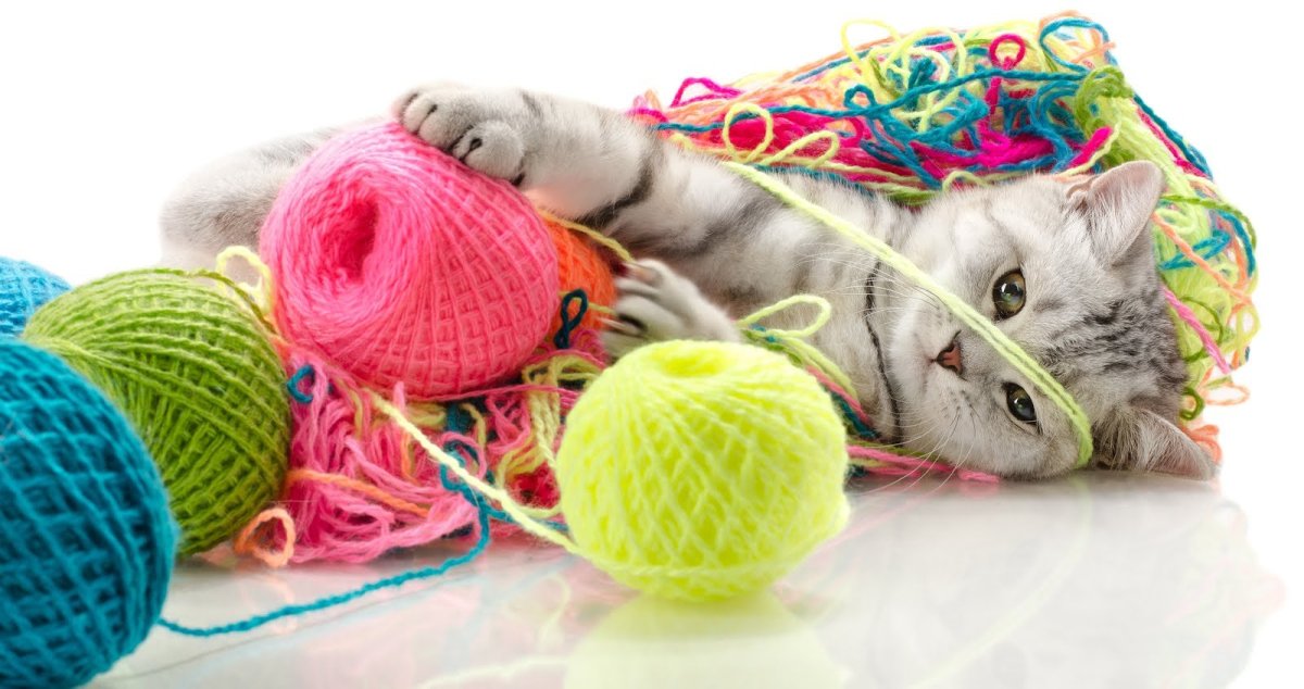 Кошки с клубками пряжи