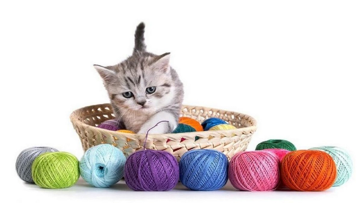 Кот и клубок ниток