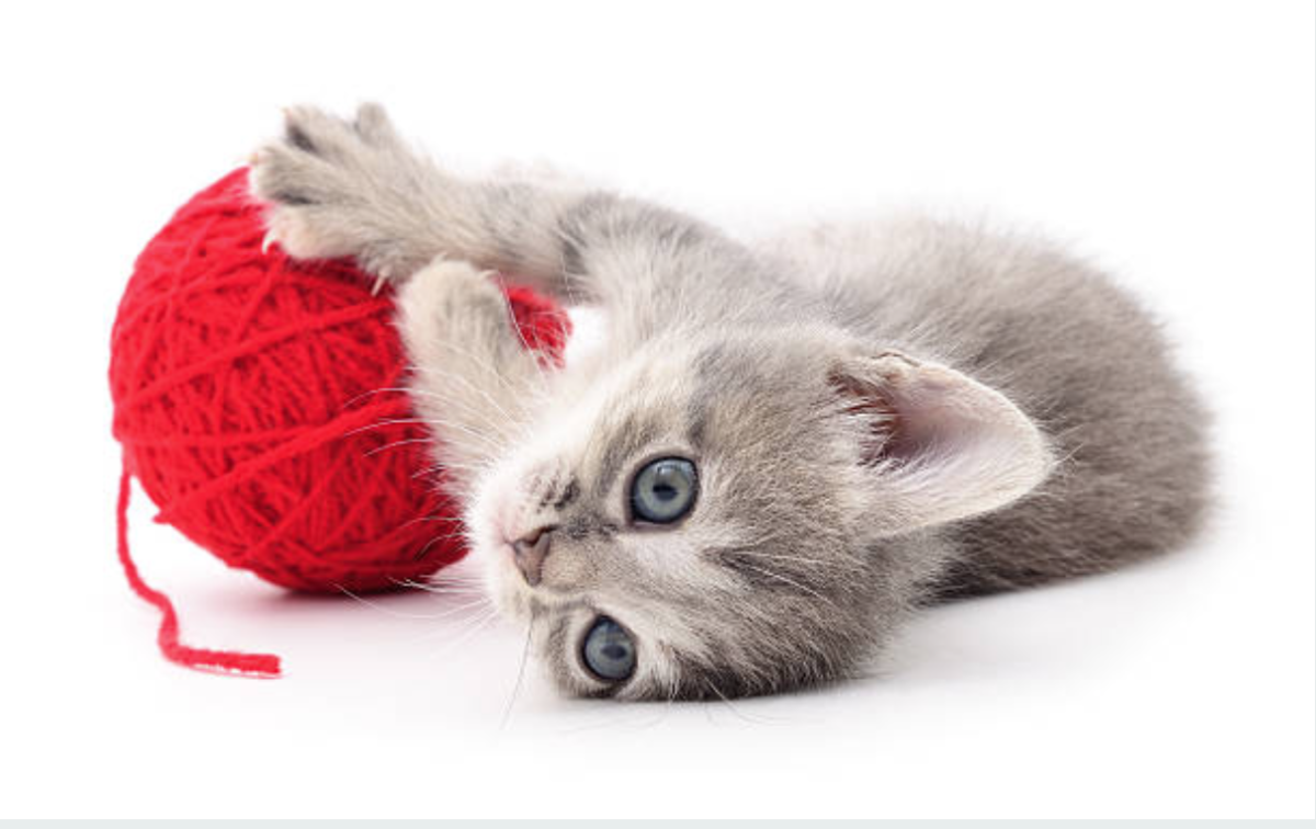 Котёнок с красным клубочком