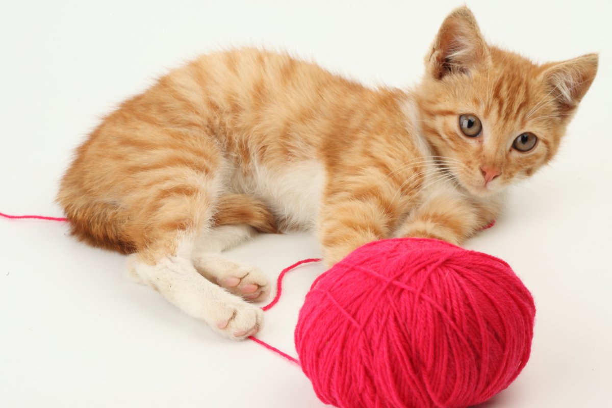 Клубок ниток