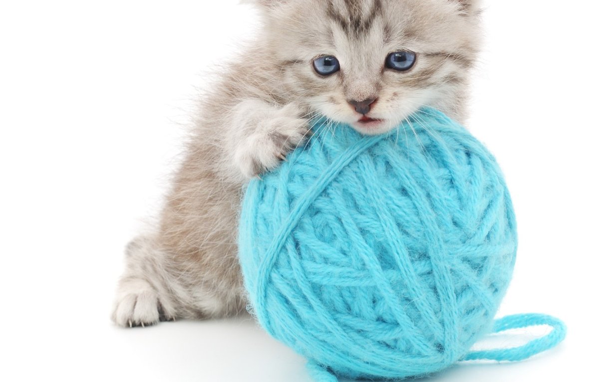 Котенок с клубочком