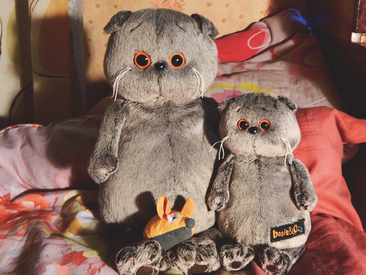 Кот Басик с мышкой Миленой