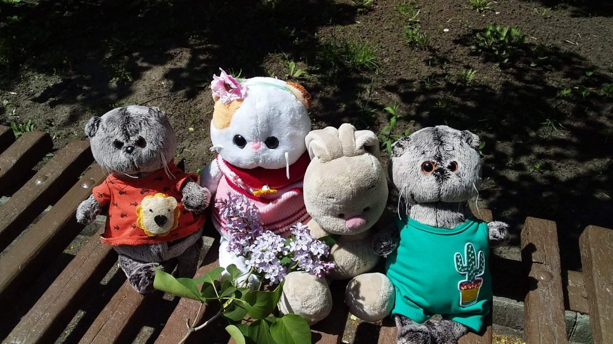 Басик и реборн