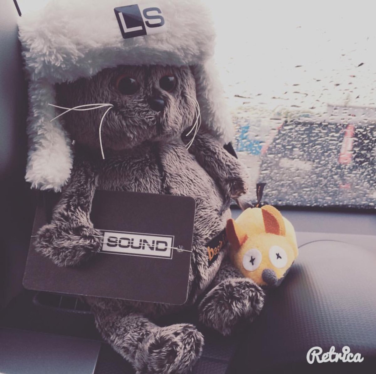 Кот Басик Loud Sound