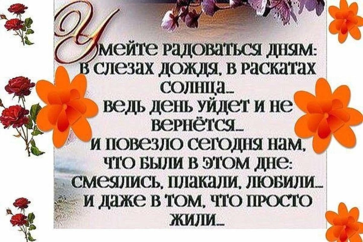 Радость жизни цитаты