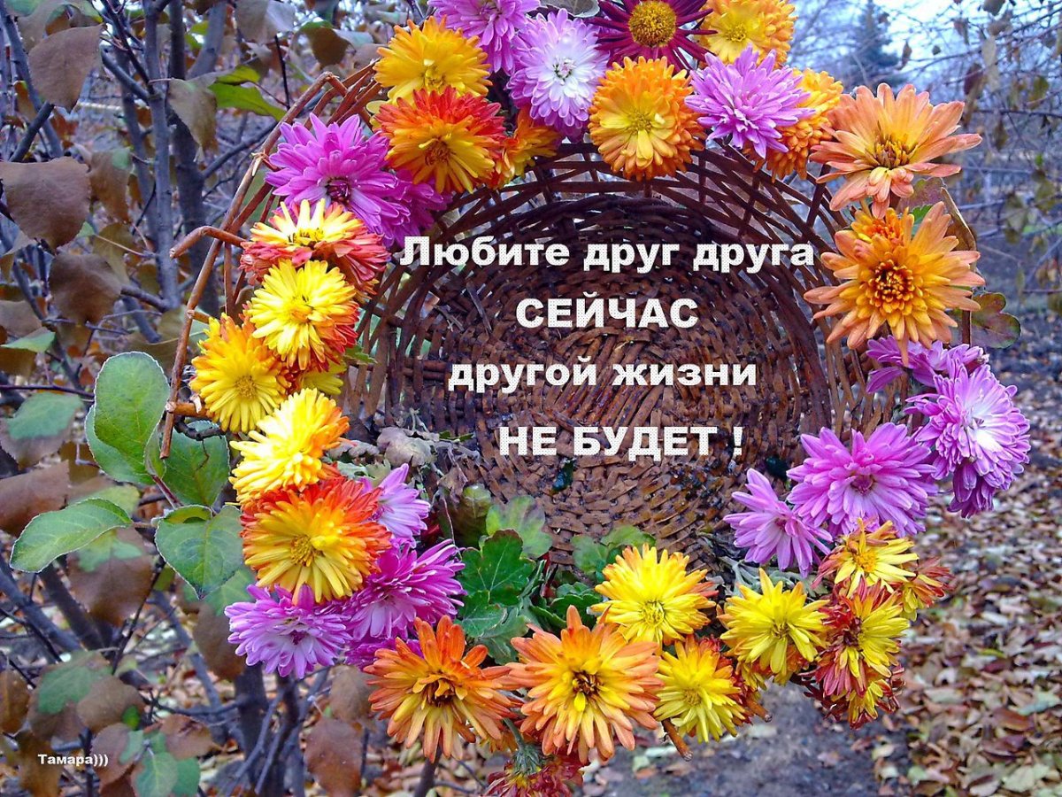 Гармония природы