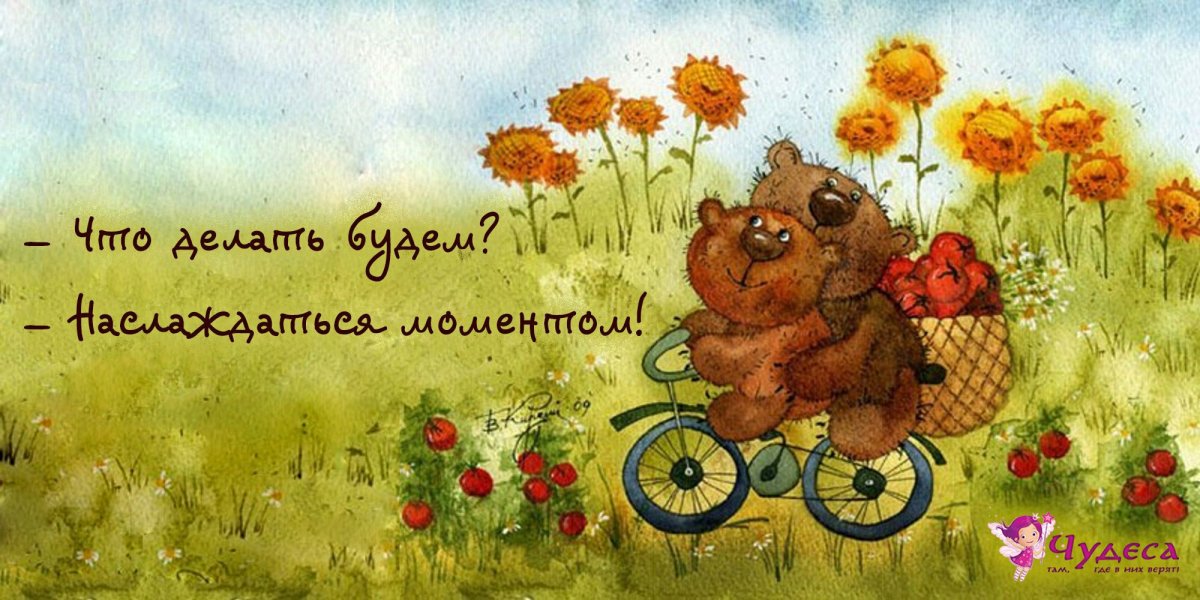 Ежик на мотоцикле