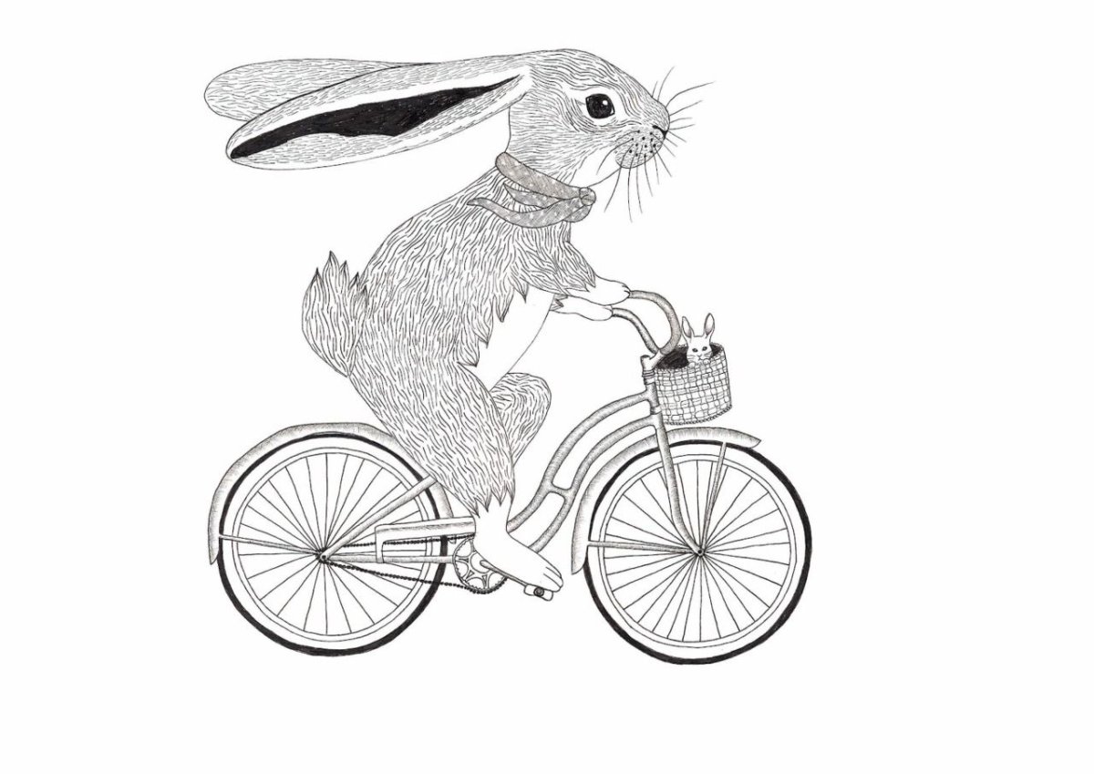 Постер в хорошем качестве животные на велосипеде