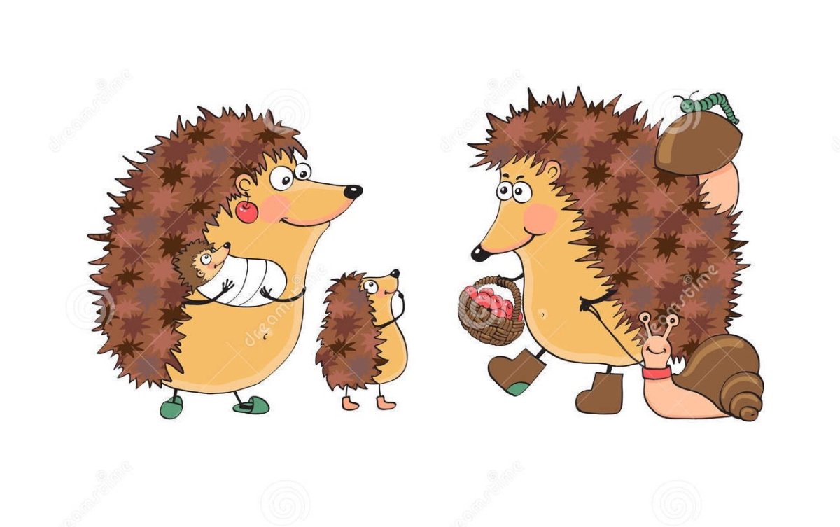 Ежик на велосипеде