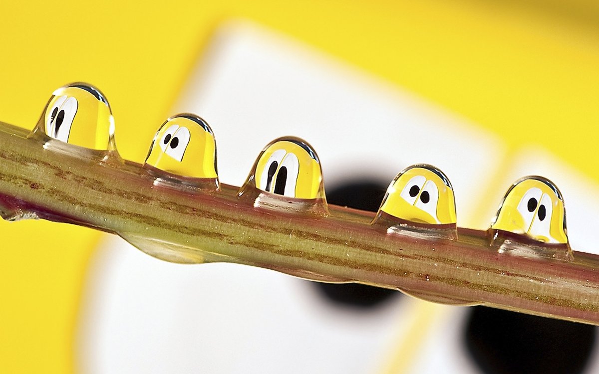 Смешные высказывания в картинках