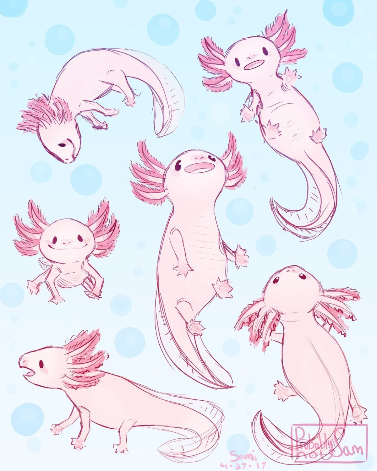 Аксолотль референсы