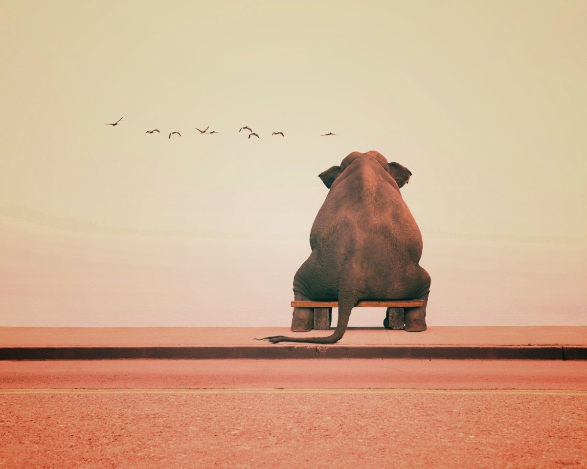 Психология картинки со смыслом