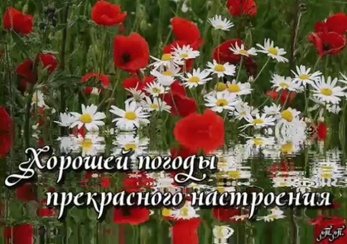 Хорошего летнего настроения в любую погоду