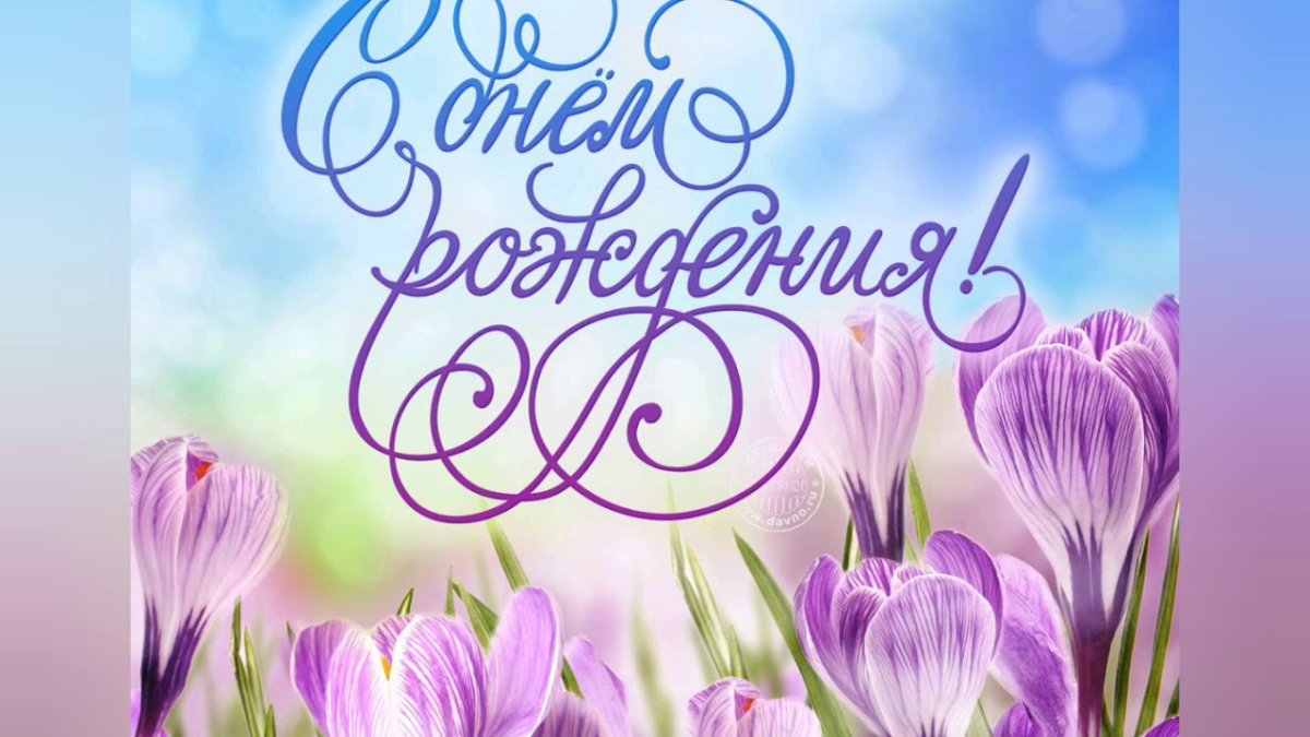 С днём рождения София