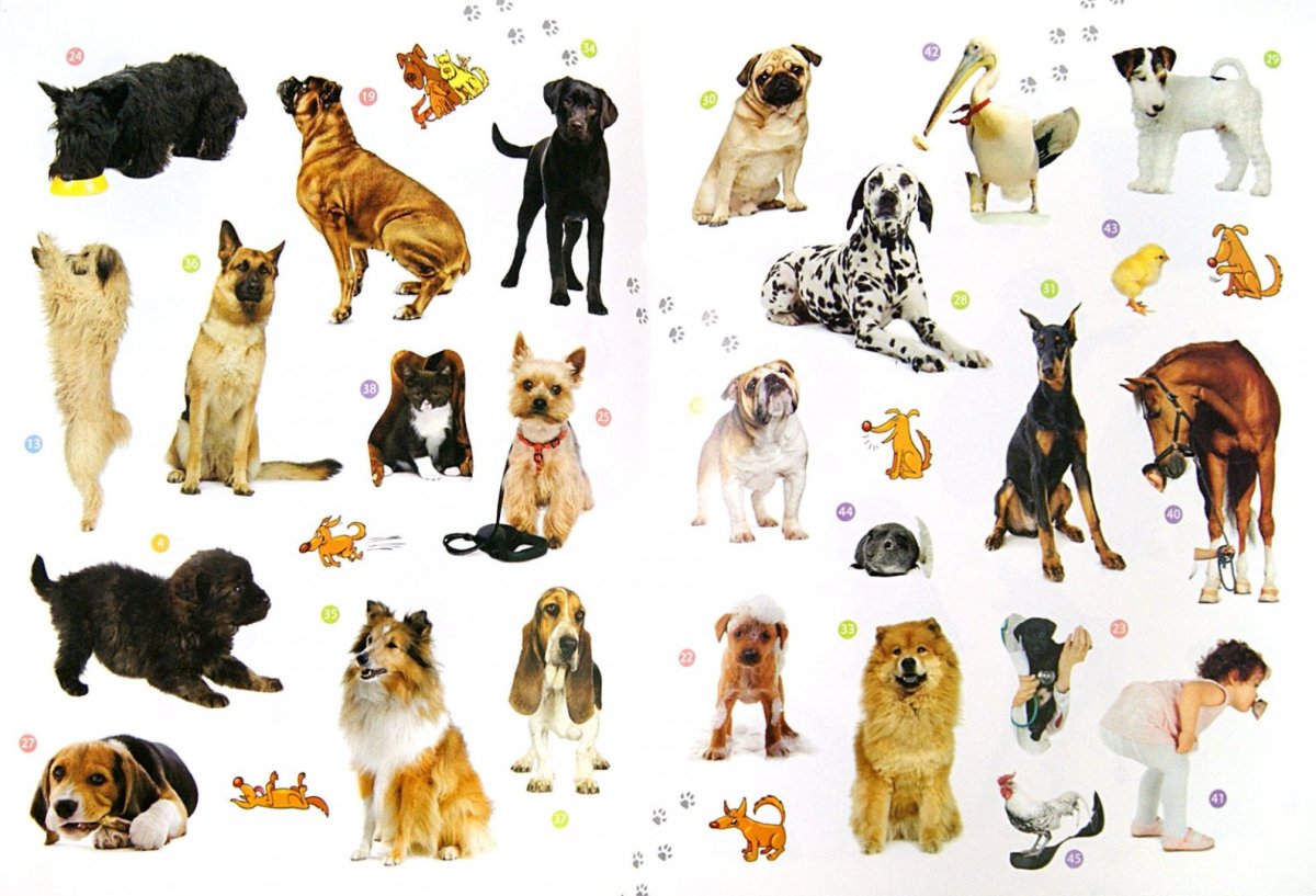 Наклейки "собаки"
