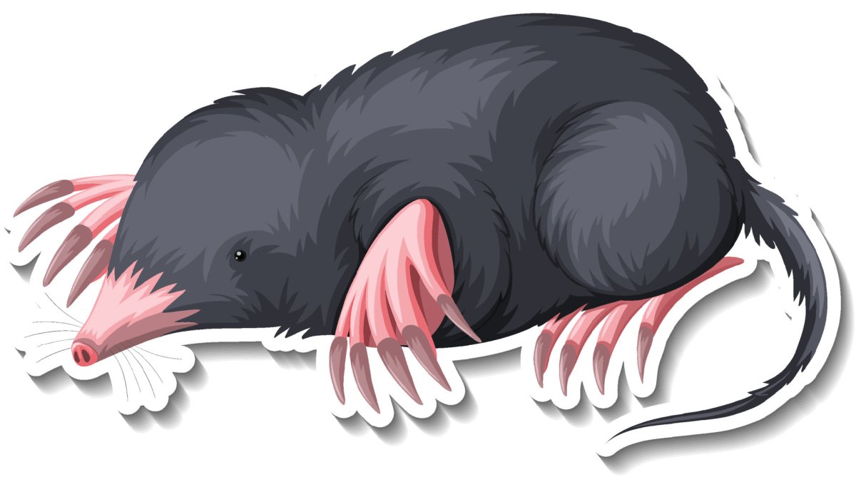 Маска крота для детей