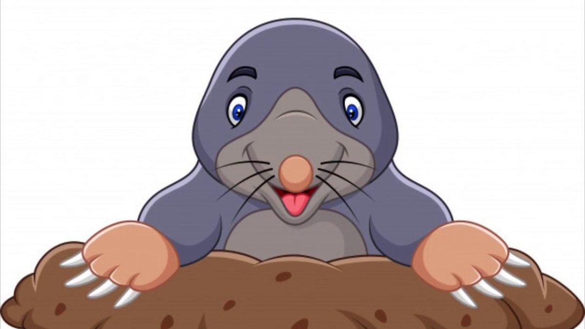 Mole рисунок вектор