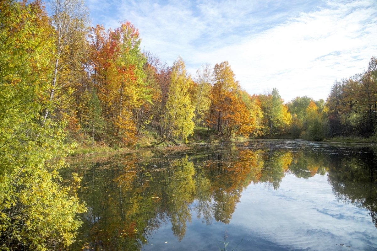 Парк усадьбы Кривякино Воскресенск