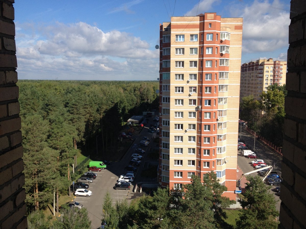 Парк Кривякино в Воскресенске