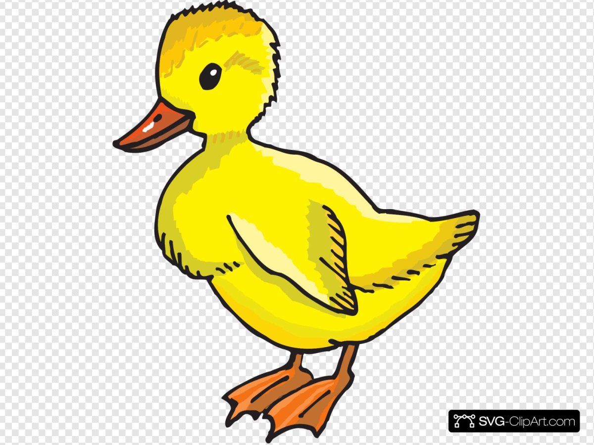 Утка рисунок