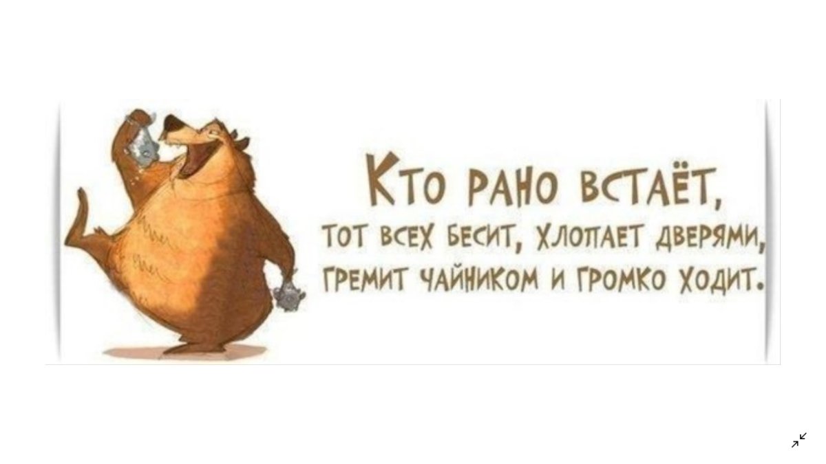 Начало рабочей недели прикол