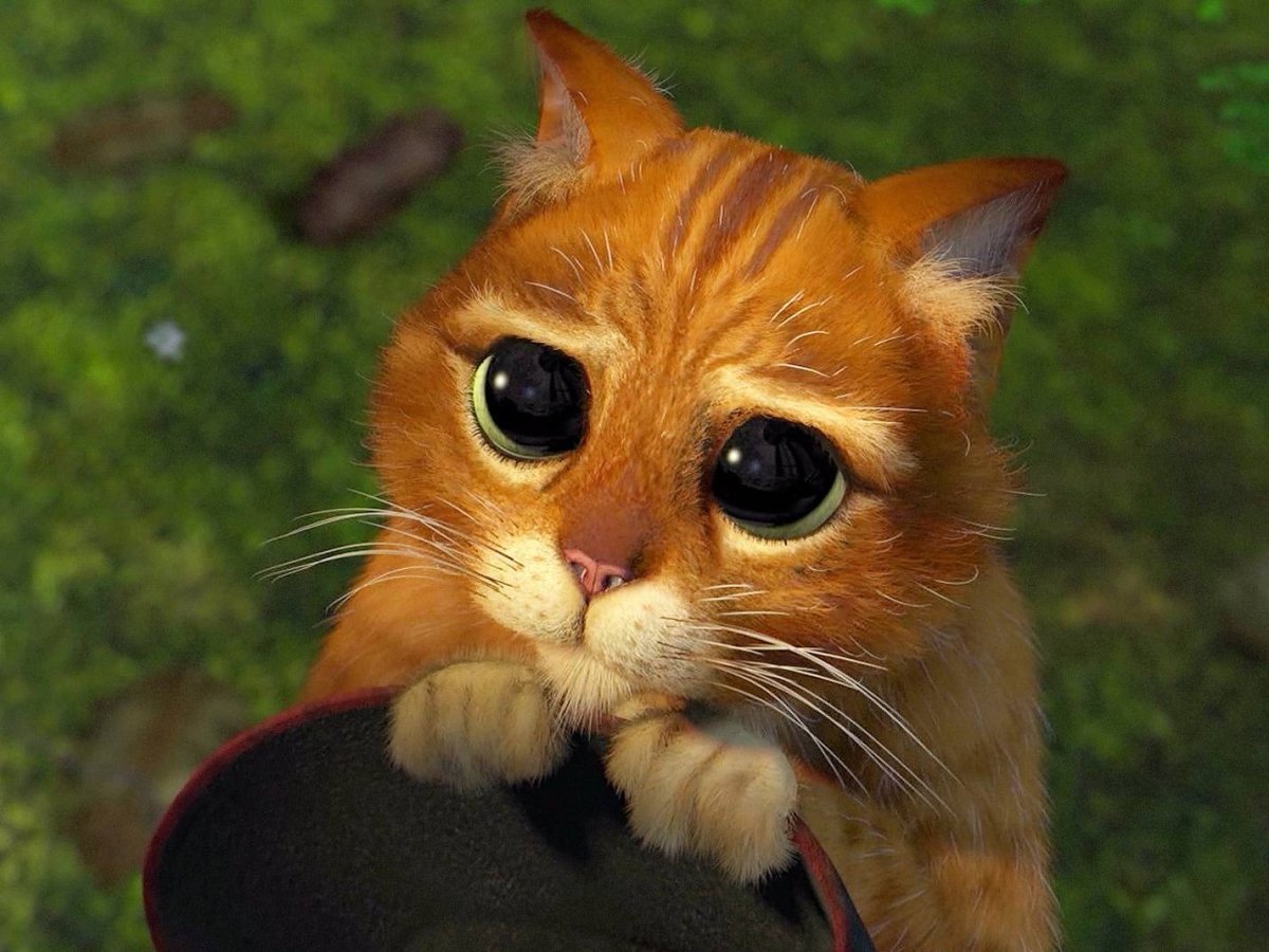 Красивые открытки улыбнись