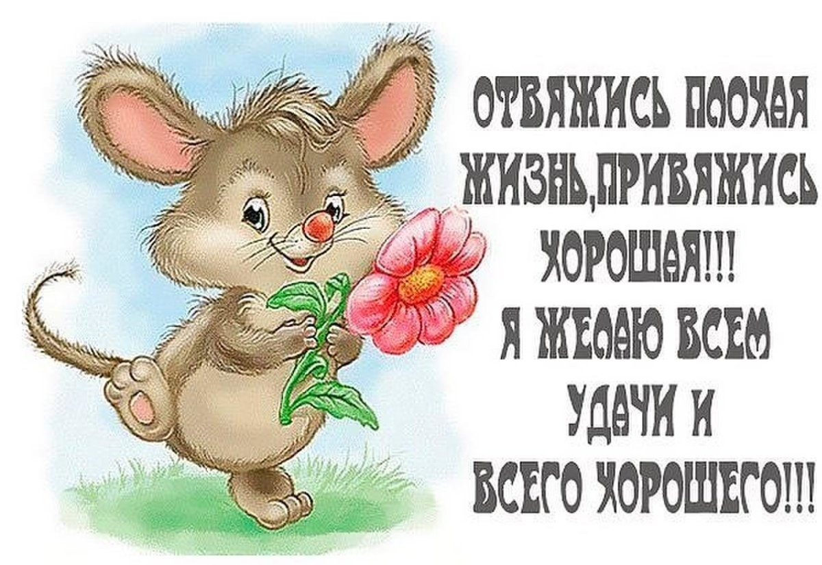 Цитаты со смыслом
