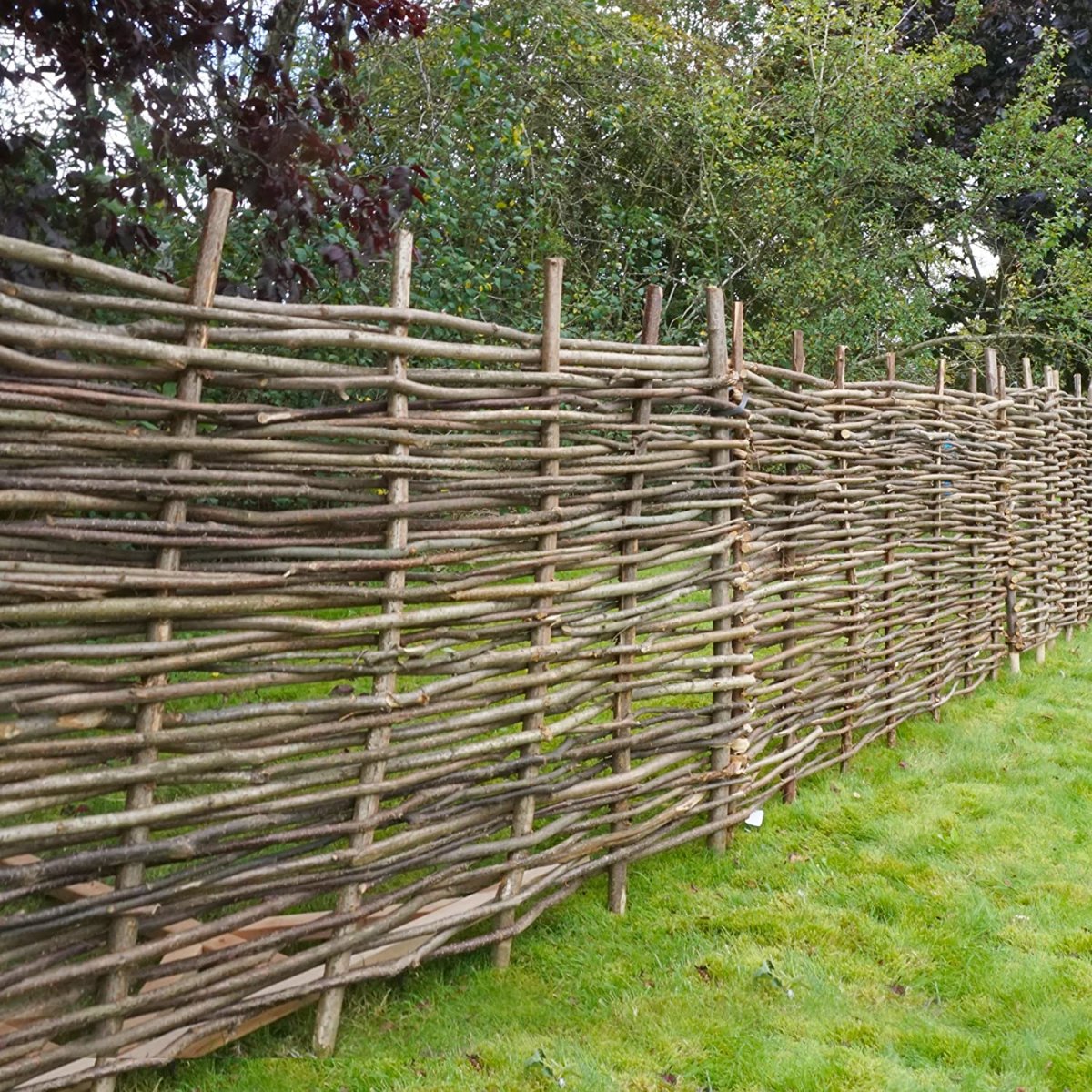 Забор плетень лоза