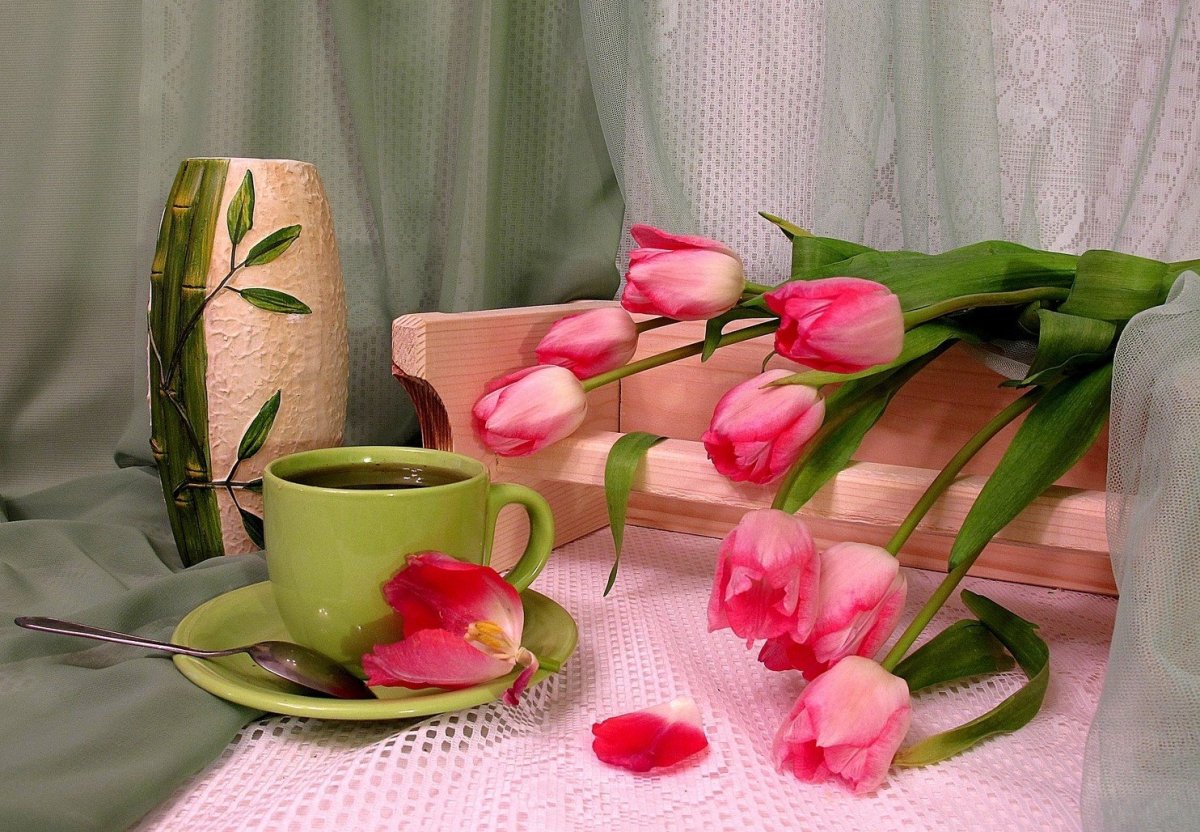 Доброе утро вторника