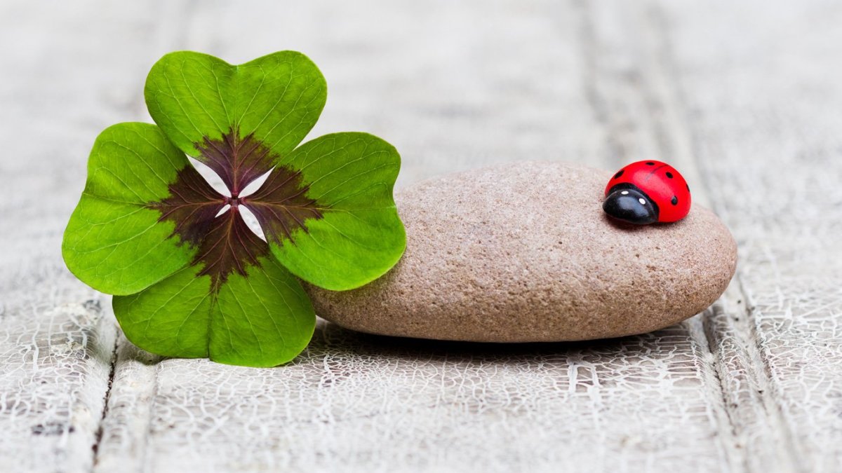 Удача креатив