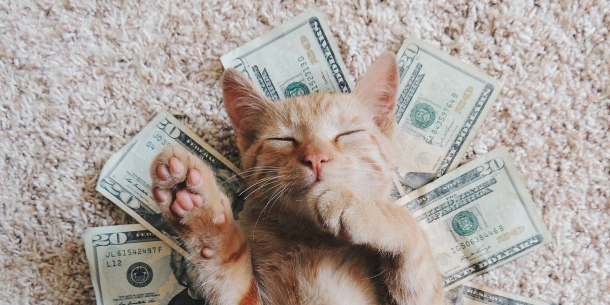 Кот с деньгами