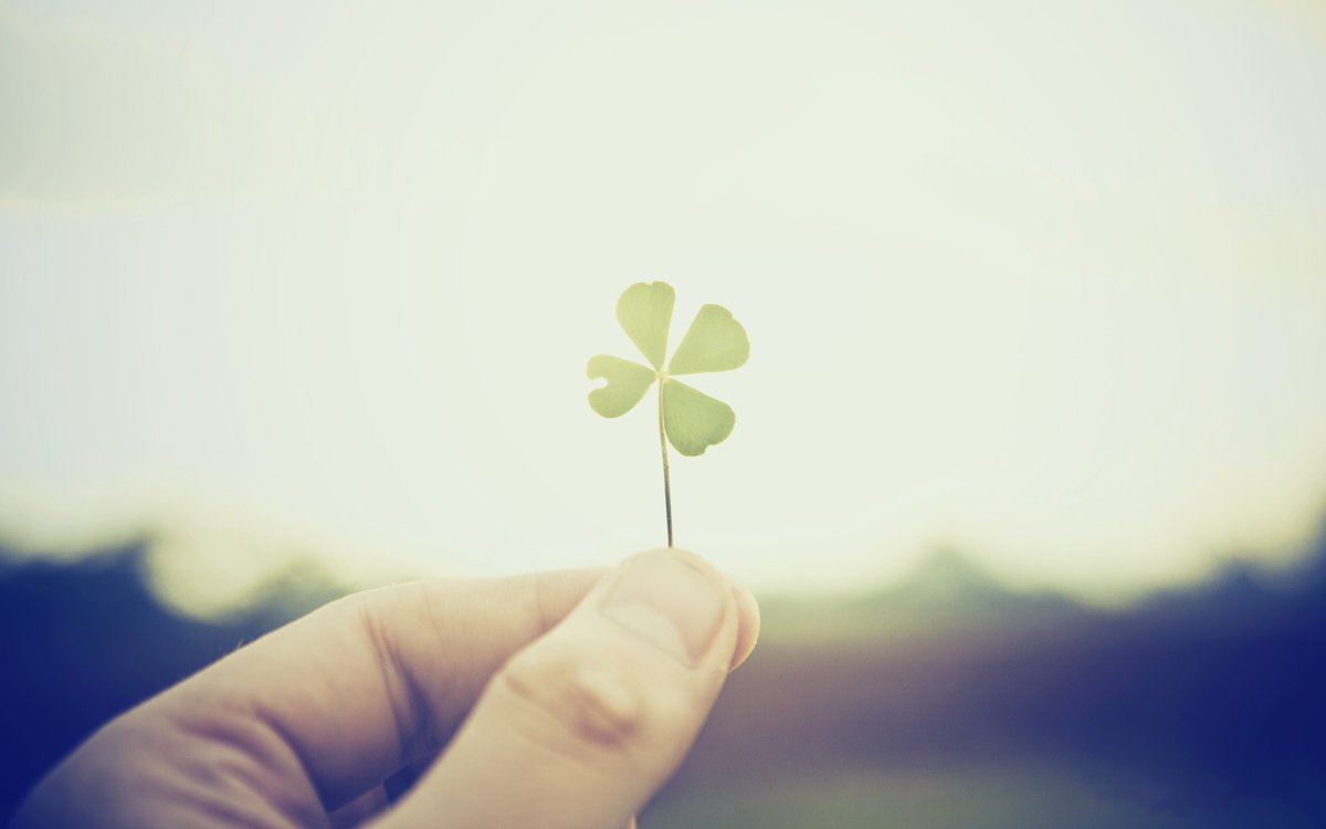 Четырехлистный Клевер HD