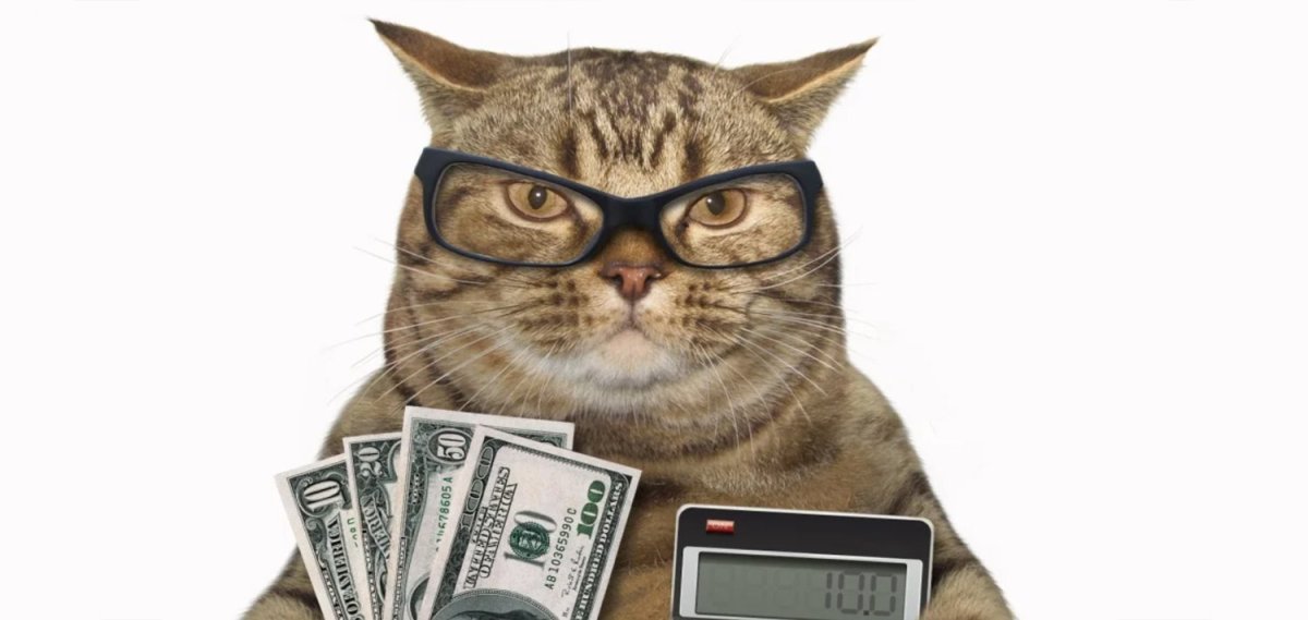 Коты с деньгами