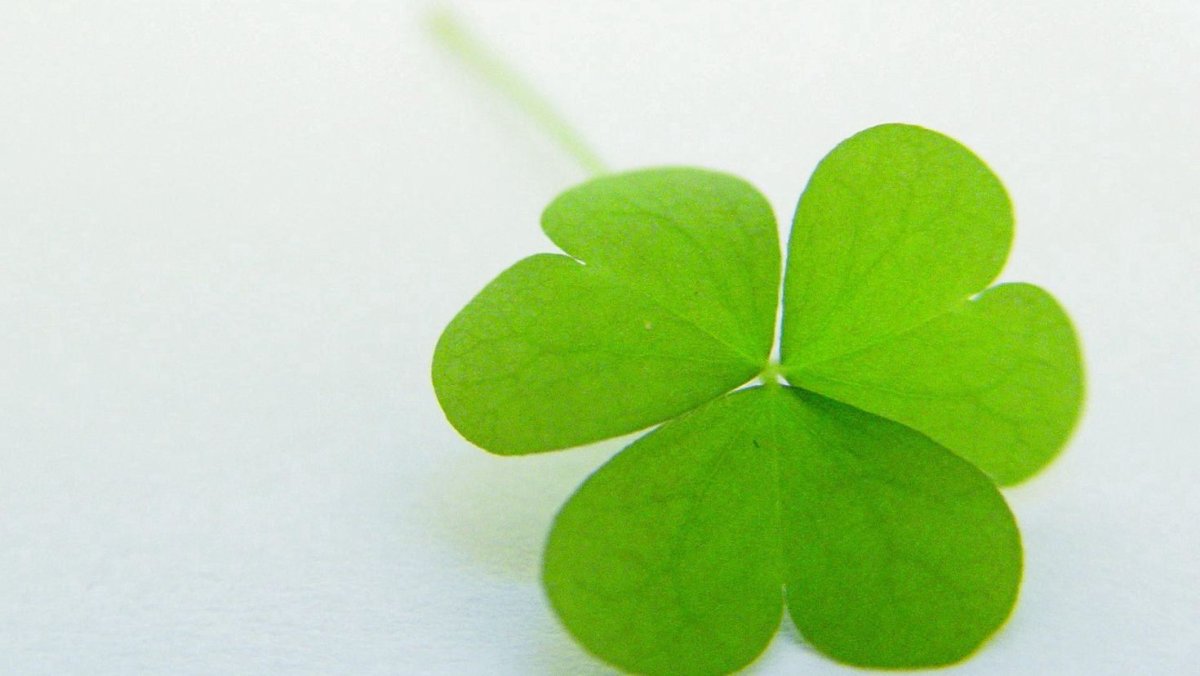 Пятилистный Клевер символ