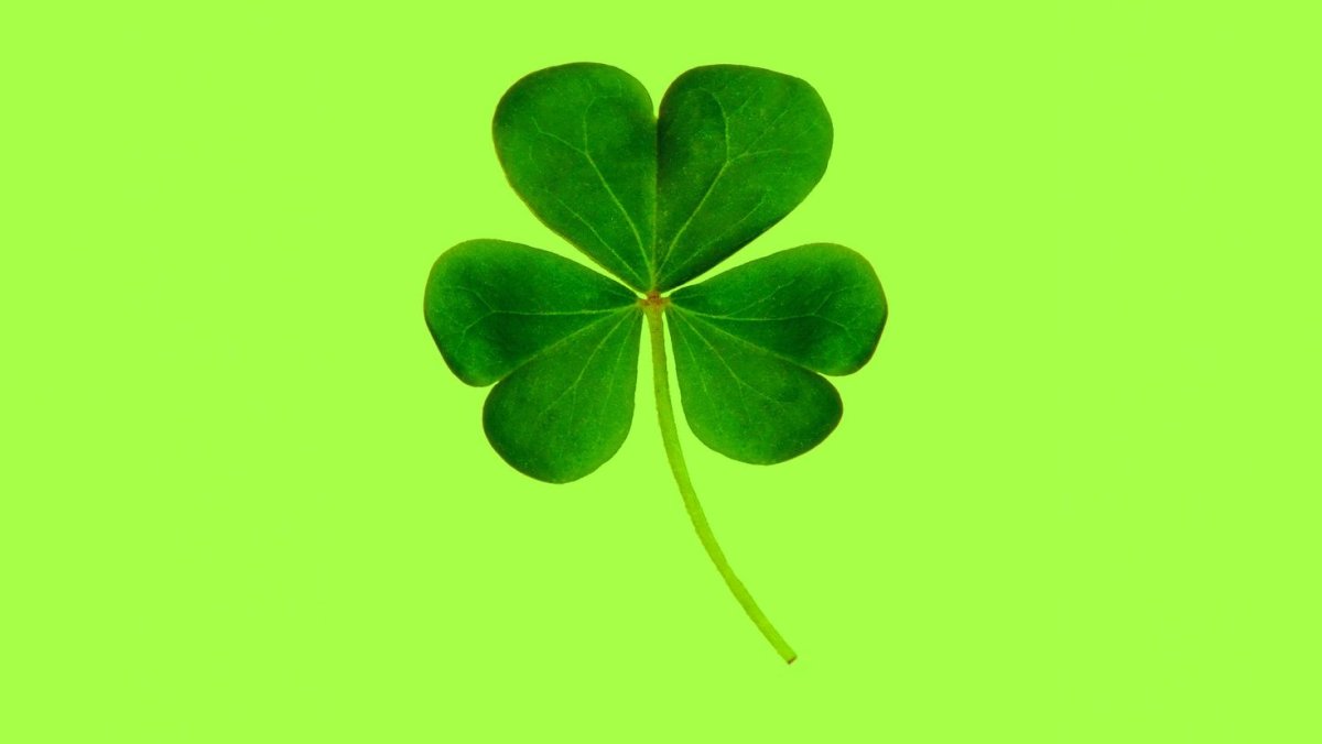 Подкова на фоне клевера