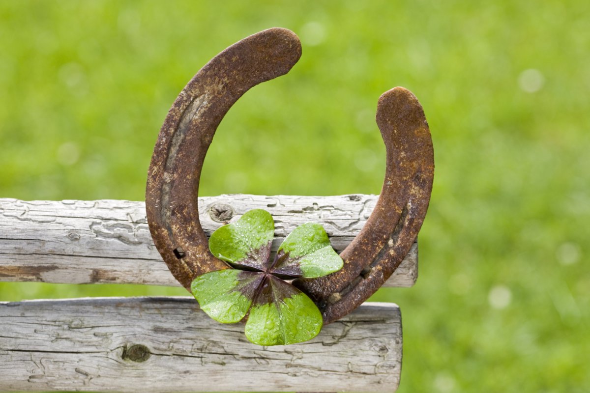 Подкова эскиз