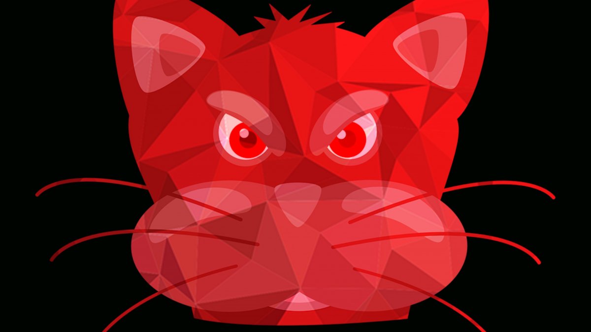 ЮТУБЕР Рэд Кэт