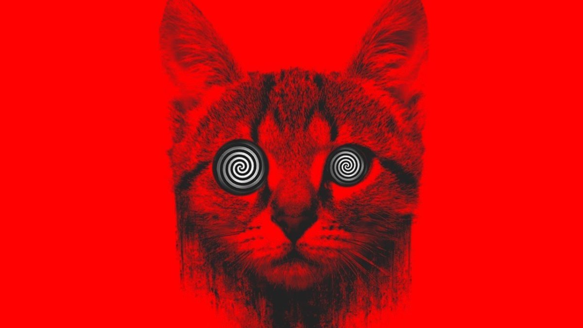 We Butter the Bread with Butter wieder geil