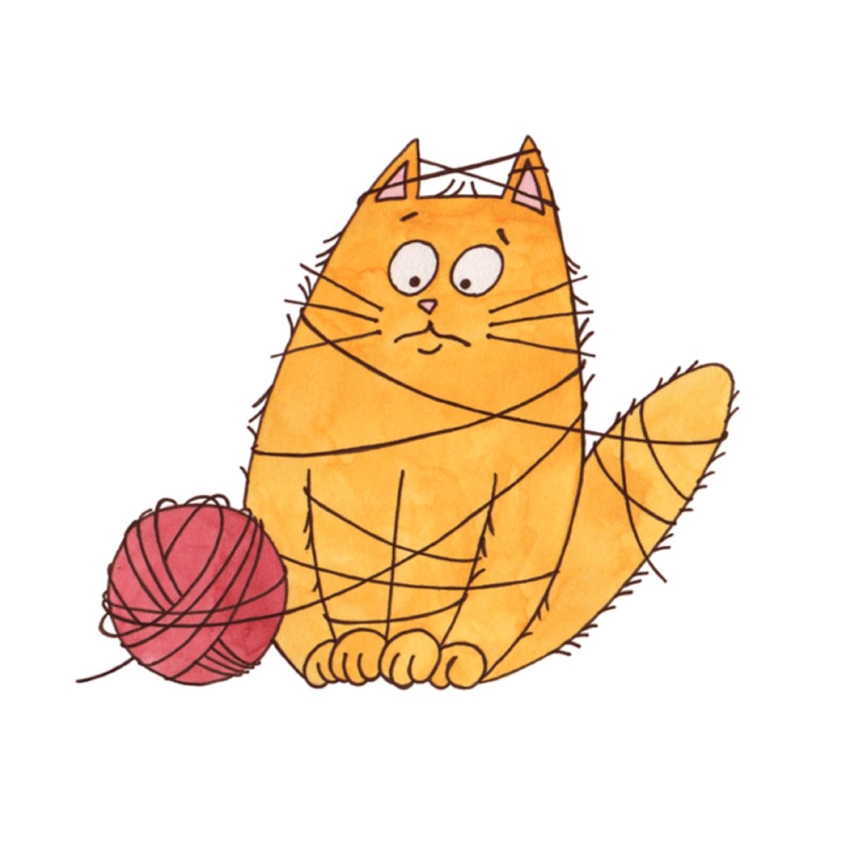 Кот в одежде