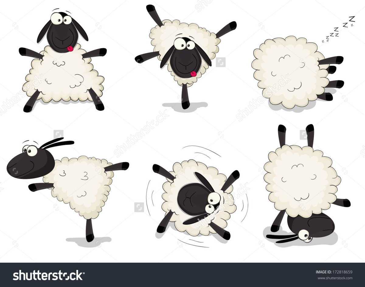 Смешные барашки нарисованные