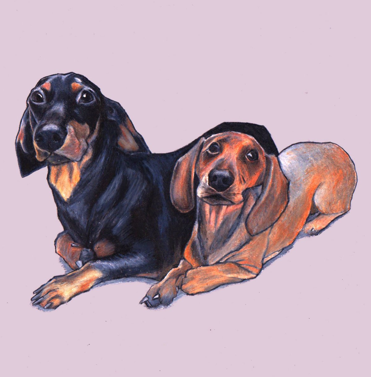 Мультяшные таксы